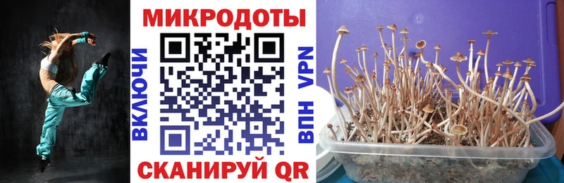 Псилоцибиновые грибы Psilocybe  blacksprut зеркало  Павлово 